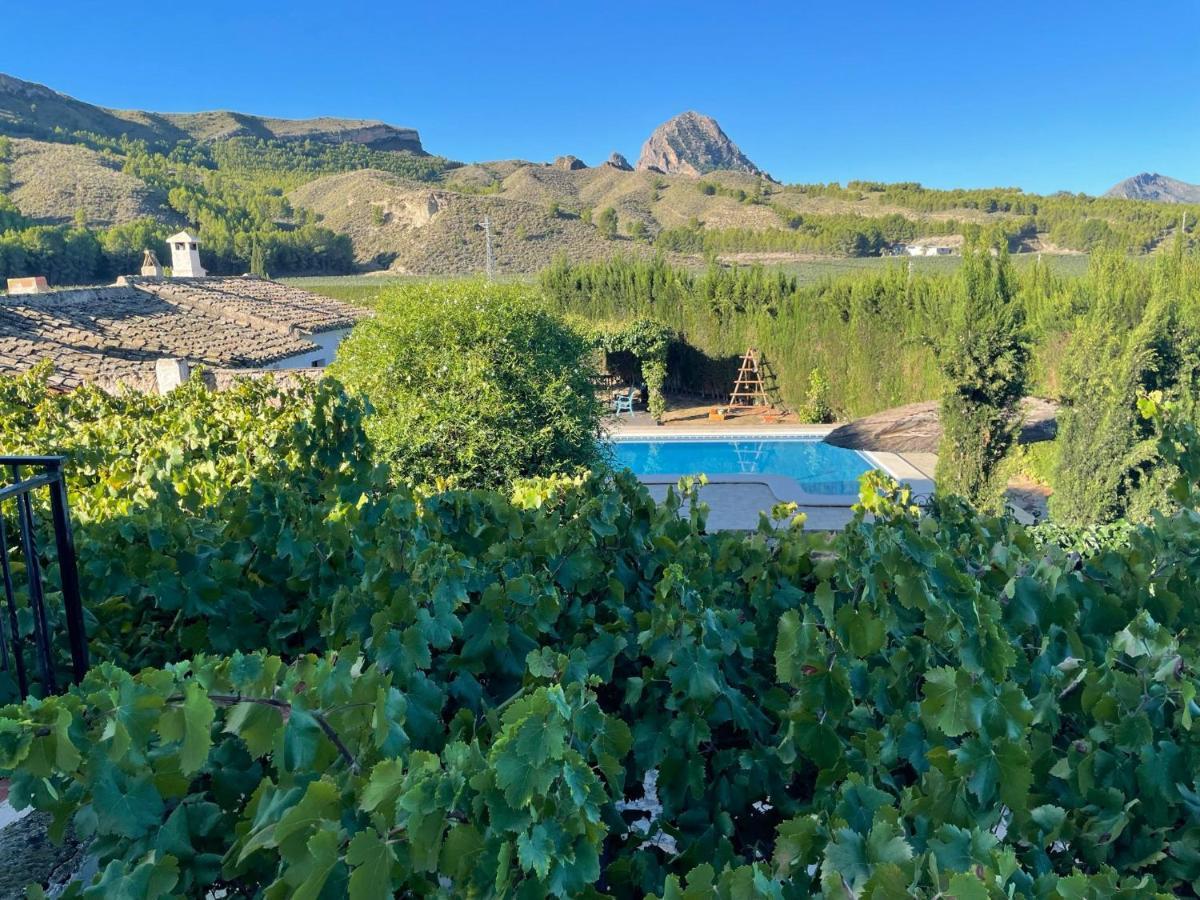 Casas Rurales El Cabezo De La Torre Villa Cieza Dış mekan fotoğraf